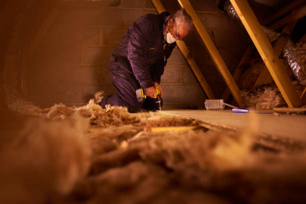 Best Insulation Removal  in Ferdand, IN